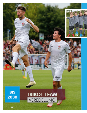 Trikot Team Veredelung